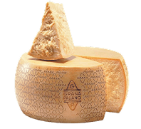 Food Cheese